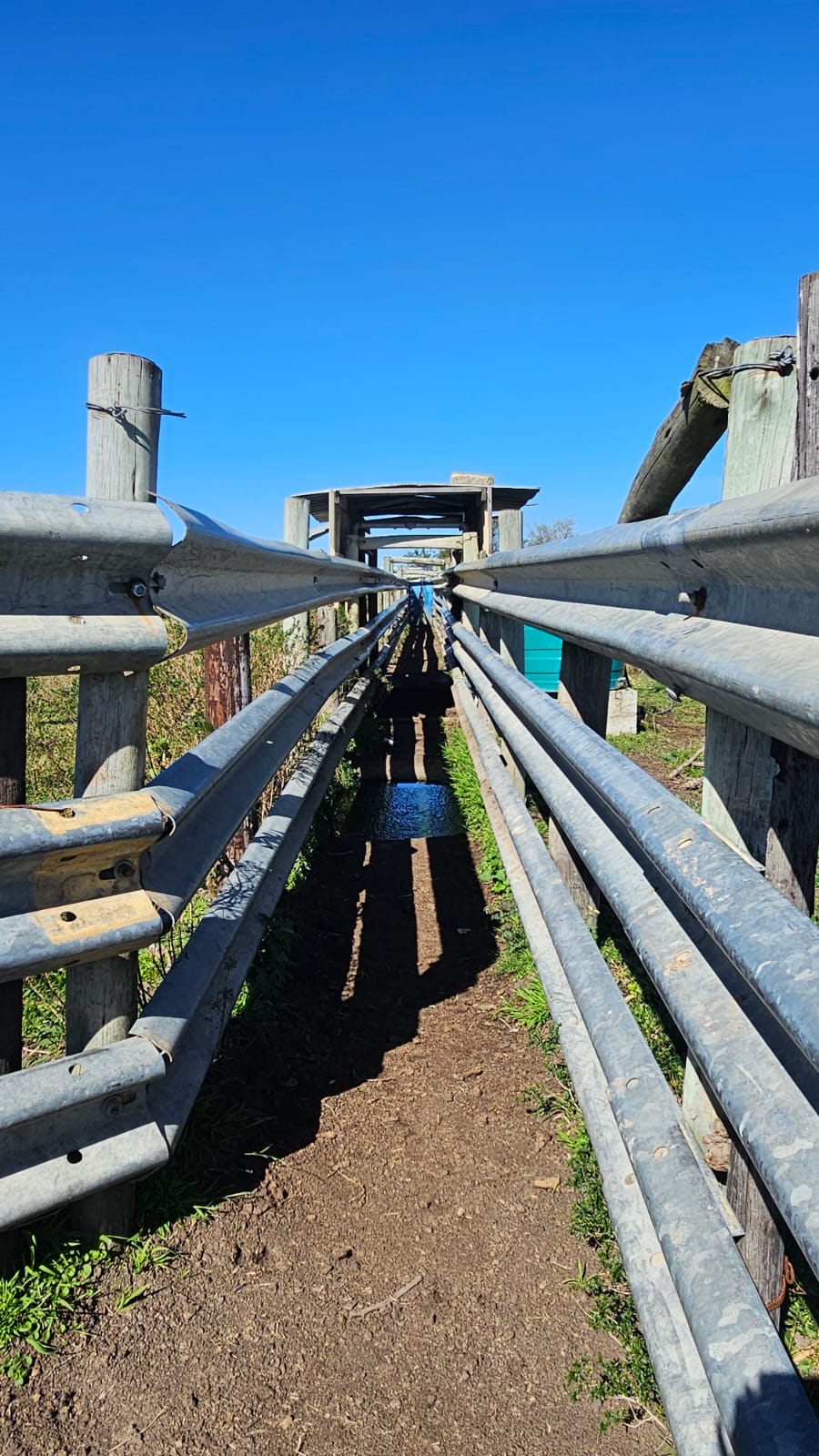 Commercial Property for Sale in Komga Rural Eastern Cape